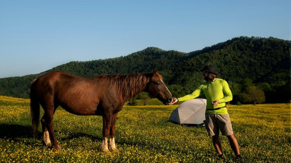 Guide pratique pour sélectionner l’alimentation adéquate de votre cheval